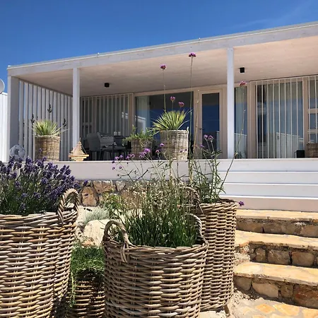 Buqez Sunset 64 Drage