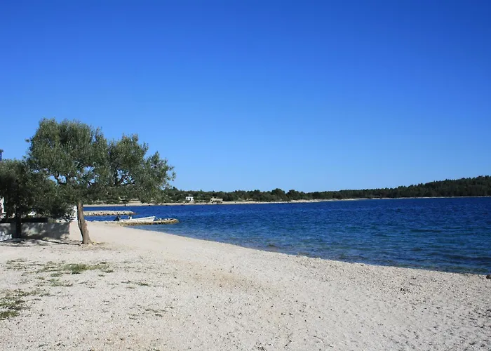 Buqez Sunset 64 * 德拉格