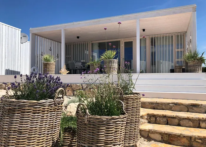 Buqez Sunset 64 德拉格