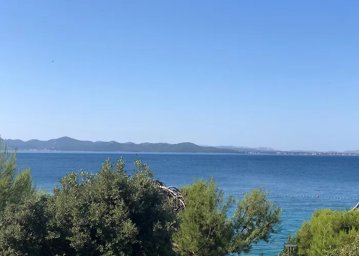 Buqez Sunset 64 德拉格