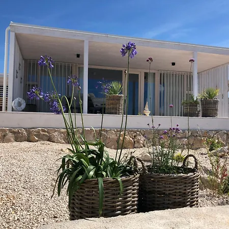 Buqez Sunset 64 * דראגה